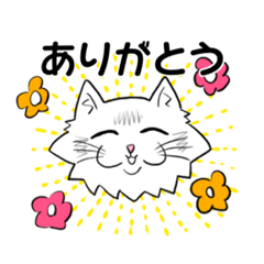 [LINEスタンプ] とにかく顔が良いラグドールのラグくん