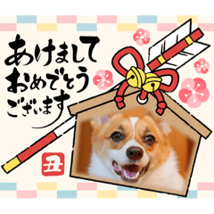 [LINEスタンプ] ぷりもっちファミリーのお正月