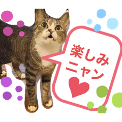 [LINEスタンプ] しらすといくら♡吹き出し
