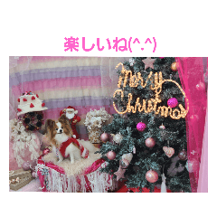 [LINEスタンプ] ぱぴぱぴパピヨン14