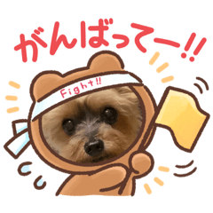 [LINEスタンプ] 我が家の三姉妹ヨーキーデコフレーム2