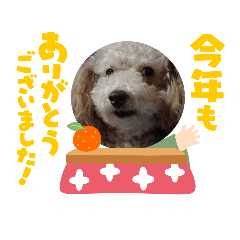 [LINEスタンプ] 年末年始わんこスタンプ パ一ト2