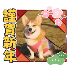 [LINEスタンプ] ふくちゃんの 楽しいお正月