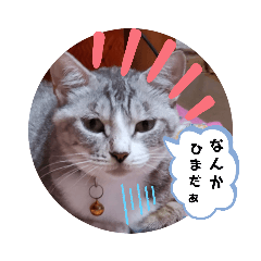 [LINEスタンプ] ぴぃままの小言