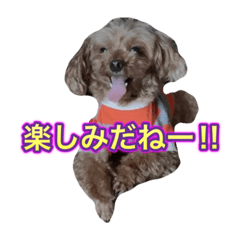 [LINEスタンプ] 大将君スタンプ♡