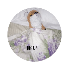 [LINEスタンプ] きつね太郎のかわいいスタンプ