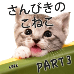 [LINEスタンプ] さんびきのこねこ