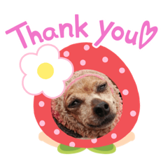 [LINEスタンプ] ララスタンプ❤︎