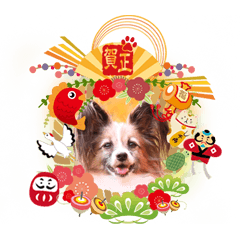 [LINEスタンプ] 毎年使えるココアとナッツのXmas ＆お正月