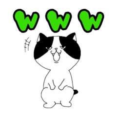 [LINEスタンプ] 目つきが悪いねこ