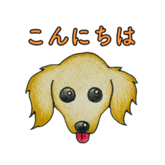 [LINEスタンプ] ダックスフント(クリーム)