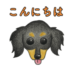 [LINEスタンプ] ダックスフント         (ブラックタン)