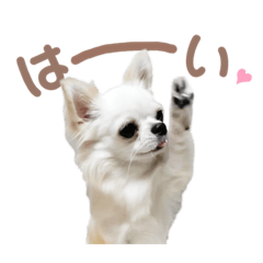 [LINEスタンプ] ロコのきもち②