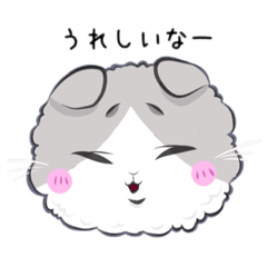 [LINEスタンプ] スコティッシュフォールド 〜顔スタンプ〜