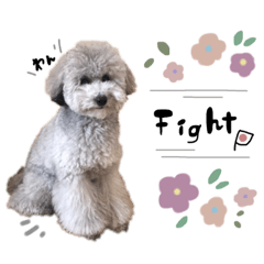 [LINEスタンプ] るくるくの日常