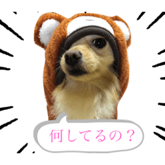 [LINEスタンプ] あんこ"