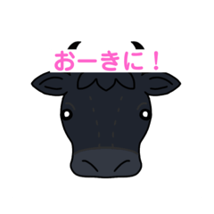 [LINEスタンプ] シンプルな牛さん(但馬弁ver.)