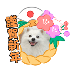 [LINEスタンプ] メイプルの仲間たち