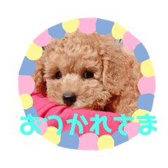 [LINEスタンプ] moca(380)