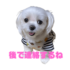 [LINEスタンプ] メル(382)
