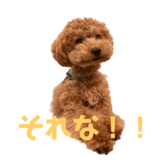 [LINEスタンプ] こころ(383)2回目