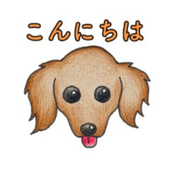 [LINEスタンプ] ダックスフント(ブラウン)