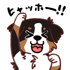 [LINEスタンプ] バーニーズのゴーちゃん