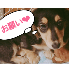 [LINEスタンプ] える、らふ