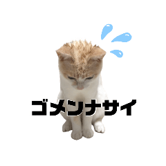 [LINEスタンプ] 雪見ちゃん①@ワビサビちゃんねる