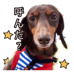 [LINEスタンプ] かわいいマリバロさん 2
