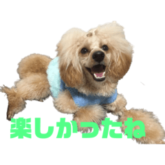 [LINEスタンプ] リアン＆プリマ(218)