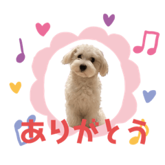 [LINEスタンプ] ブラン(386)