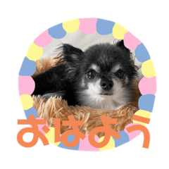 [LINEスタンプ] クリス、ひめ(387)