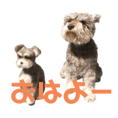 [LINEスタンプ] バブー、モナミ(325)
