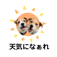 [LINEスタンプ] おはようビスマルコ