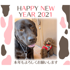 [LINEスタンプ] こたろう＆てんてん