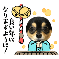 [LINEスタンプ] ポメチワはちみつちゃんスタンプ第5弾