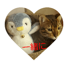 [LINEスタンプ] ベンガル猫のティグ4