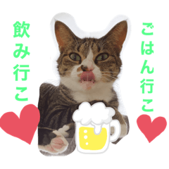 [LINEスタンプ] しらすといくら3♡♡