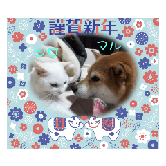 [LINEスタンプ] マルとシロ