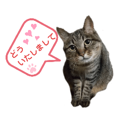 [LINEスタンプ] Ko-Tzy  vol.2