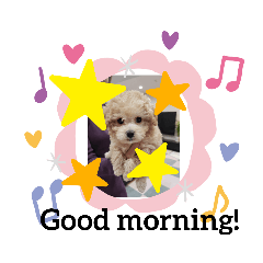 [LINEスタンプ] 小恋ちゃん