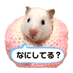 [LINEスタンプ] hamumoko