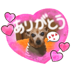 [LINEスタンプ] SAYAスタンプ❤︎