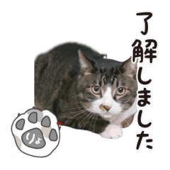 [LINEスタンプ] 201220185046.102vuMp