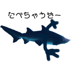 [LINEスタンプ] 水族館ちゃん