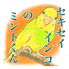 [LINEスタンプ] セキセイインコのミントくん