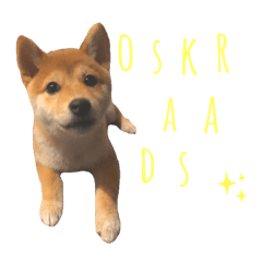 [LINEスタンプ] きなこのすたんぷ、❷