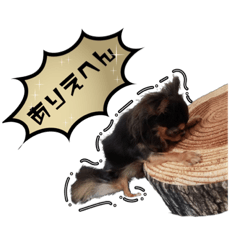 [LINEスタンプ] 関西弁ver 犬スタンプ