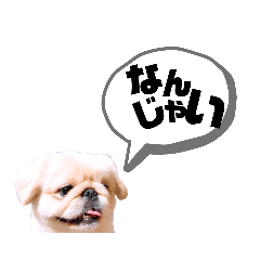 [LINEスタンプ] さーちんず1